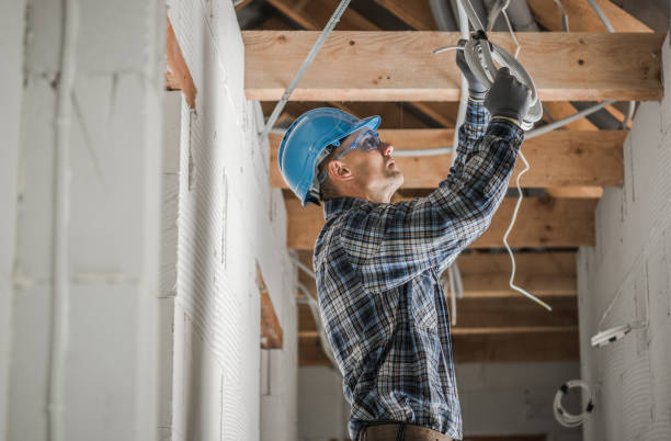 Best Affordable Electrician  in Ripley, OH