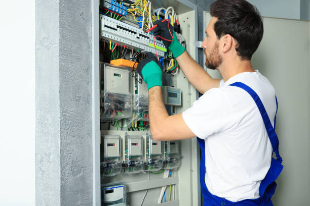 Best Electric Panel Repair  in Ripley, OH
