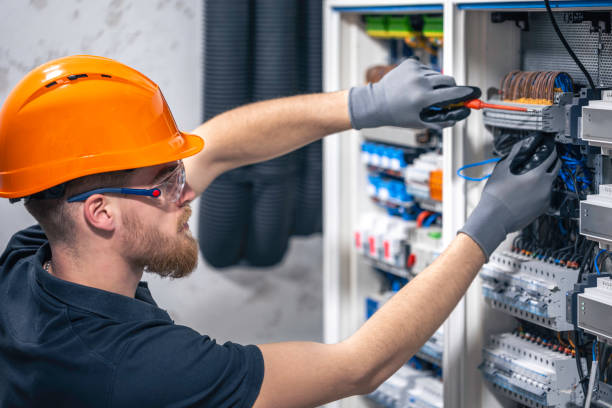 Best Circuit Breaker Repair  in Ripley, OH
